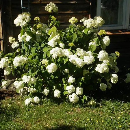 Jannseni Rum i privatbostad