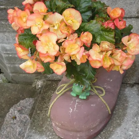 Quarto em Acomodações Particulares Jannseni