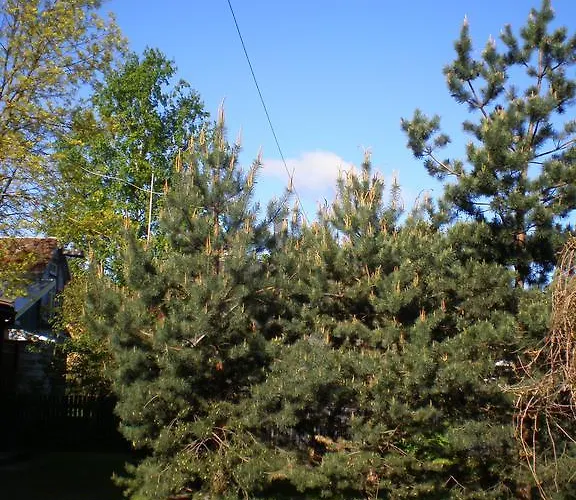 Rum i privatbostad Jannseni Pärnu