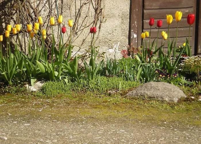 Jannseni Rum i privatbostad Pärnu
