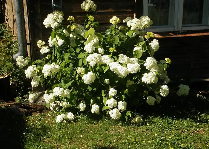 Jannseni Rum i privatbostad