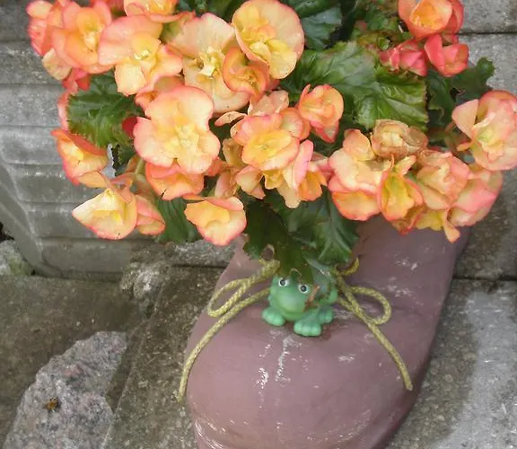 Rum i privatbostad Jannseni